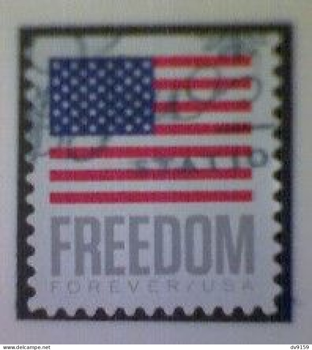 United States, Scott #5791, Used(o), 2023 Booklet, Freedom Flag, (63¢), Gray, Blue, And Red - Usados