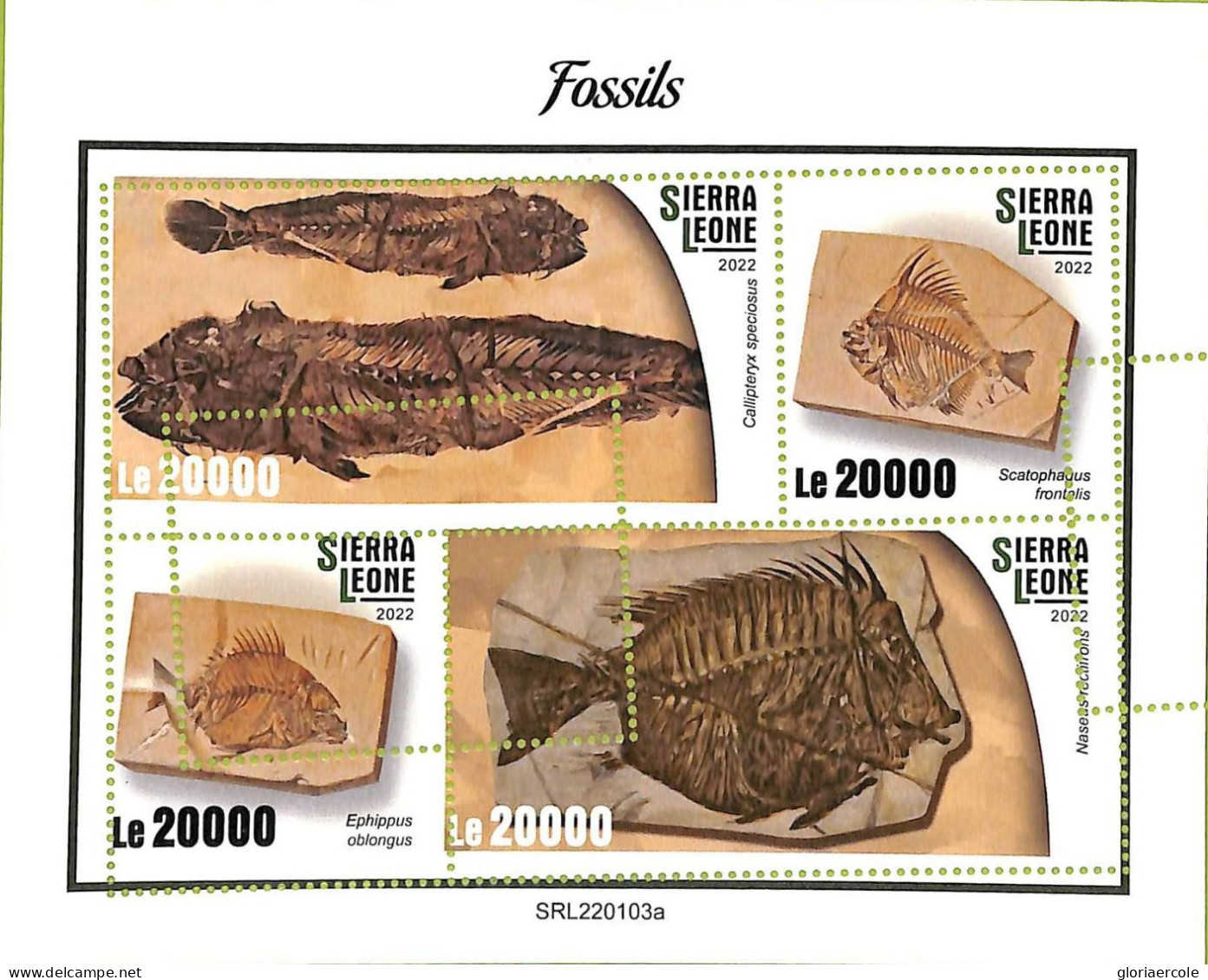 A9443 - SIERRA LEONE -  ERROR MISPERF Stamp Sheet - 2022 - Fossils - Fossili