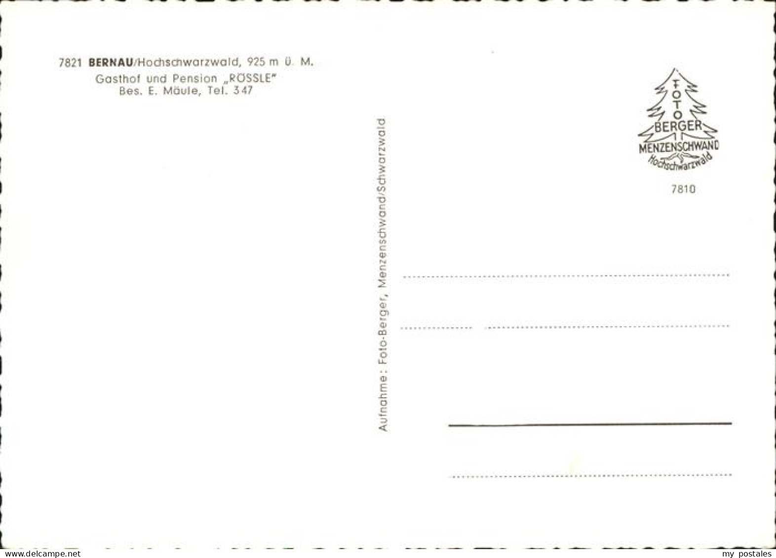 41185498 Bernau Schwarzwald Kuehe Bernau - Bernau