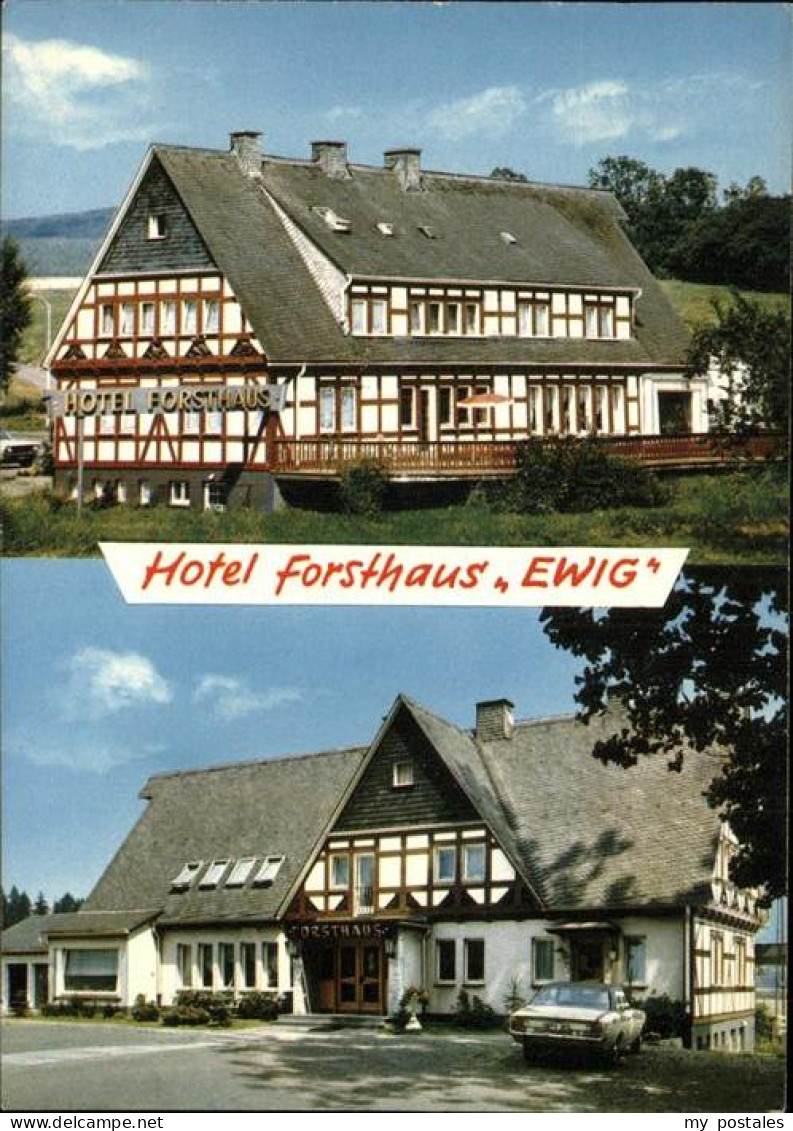 41185447 Attendorn Hotel Forsthaus Ewig Attendorn - Attendorn