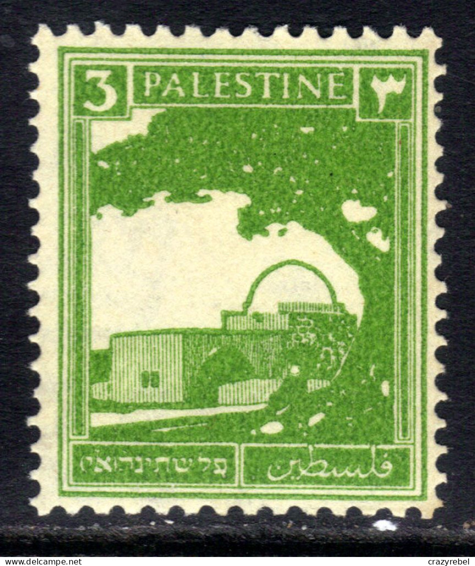 Palestine 1927 - 45 KGV 3m Rachels Tomb MM SG 91 ( M771 ) - Palestine