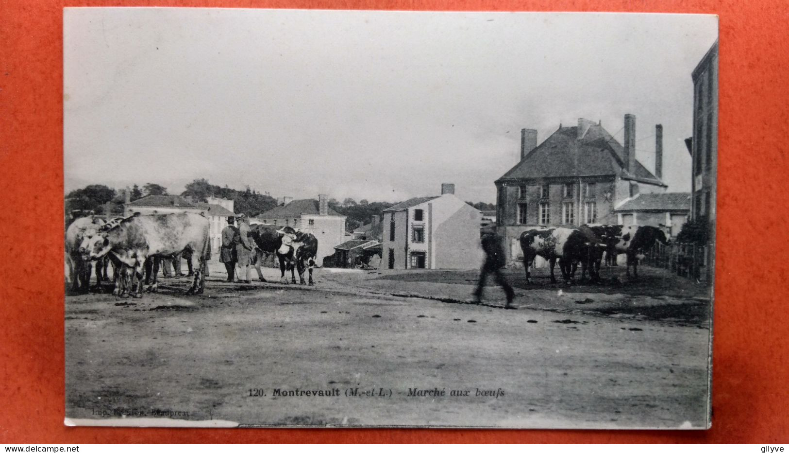 CPA (49)  Montrevault. Marché Aux Bœufs.     (4A.n°1296) - Montrevault