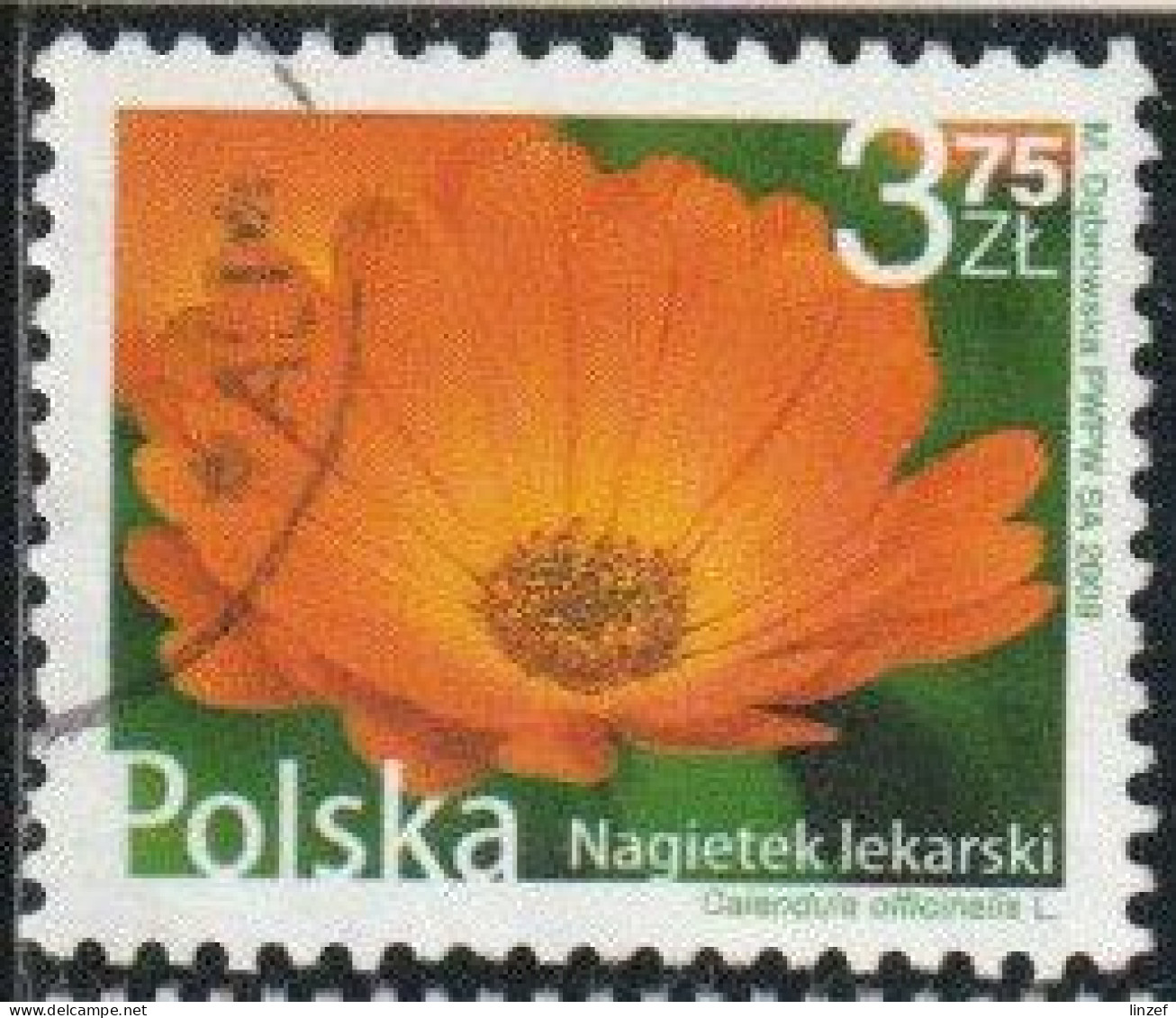 Pologne 2009 Yv. N°4166 - Fleur De Souci Officinal - Oblitéré - Gebruikt