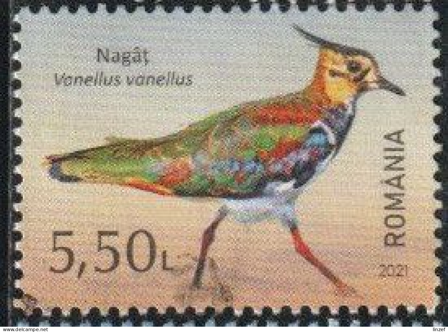 Roumanie 2021 Yv. N°6677 - Vanneau Huppé - Oblitéré - Used Stamps