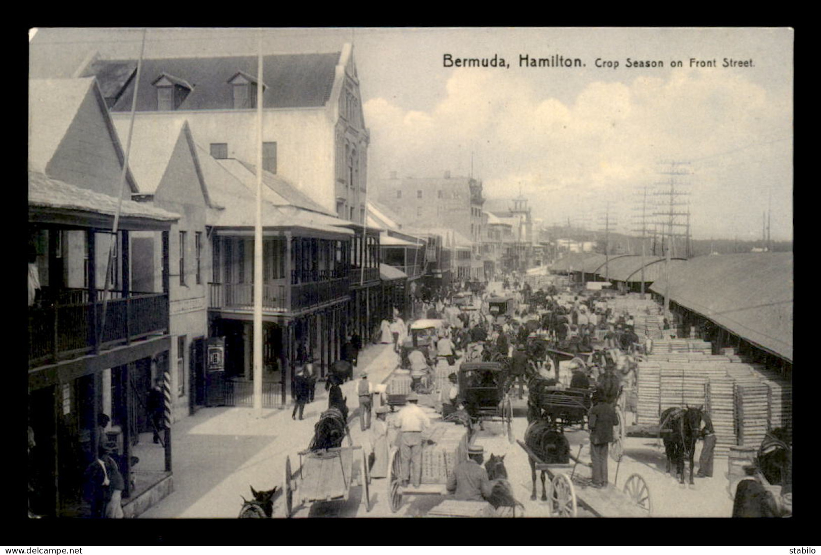 BERMUDES - HAMILTON - CROP SEASON ON FRONT STREET - Bermuda