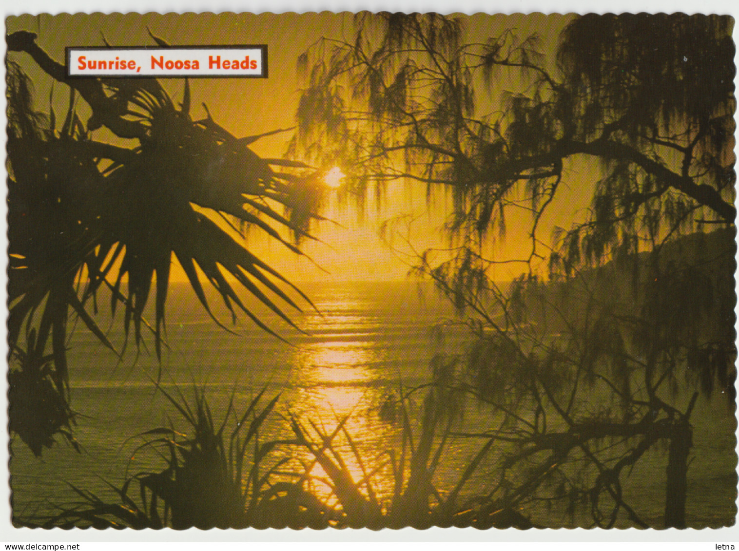 Australia QUEENSLAND QLD Sunrise Ti Tree Bay NOOSA HEADS Sunshine Coast Kuskopf 349 Postcard C1970s - Sunshine Coast
