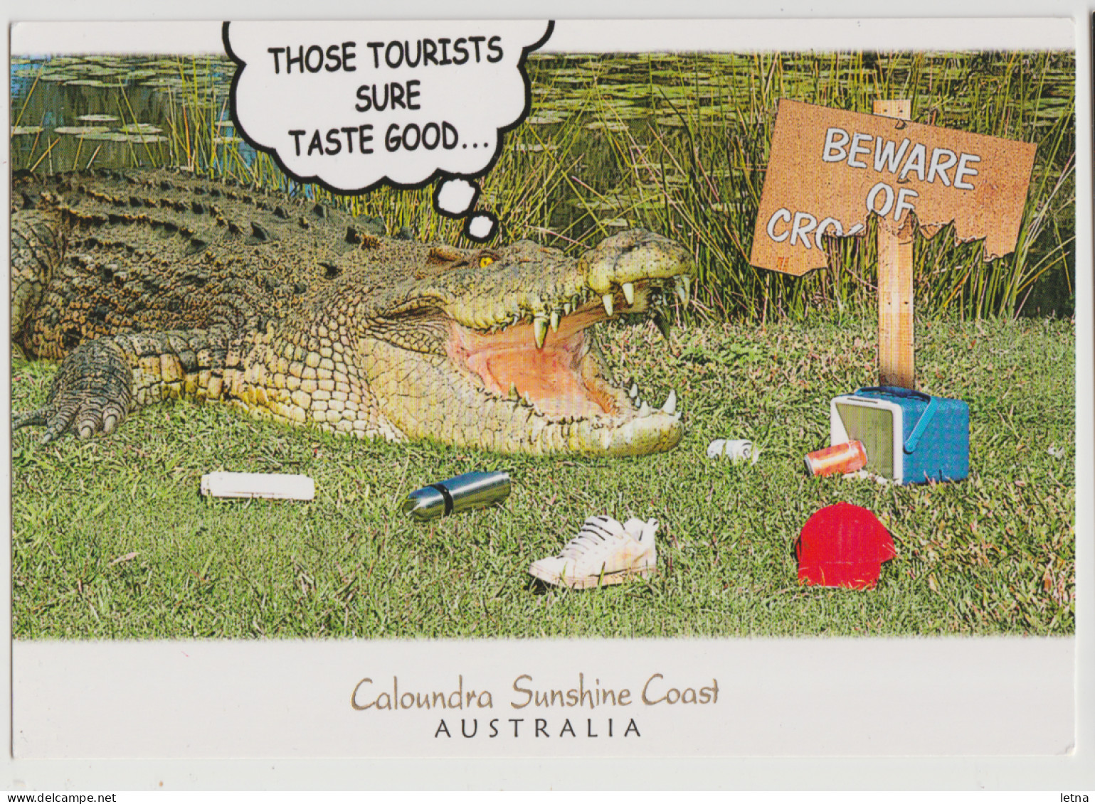 Australia QUEENSLAND QLD Tasty Tourists CROCODILE Murray Views GENS603A Comical Postcard C1990s - Sunshine Coast