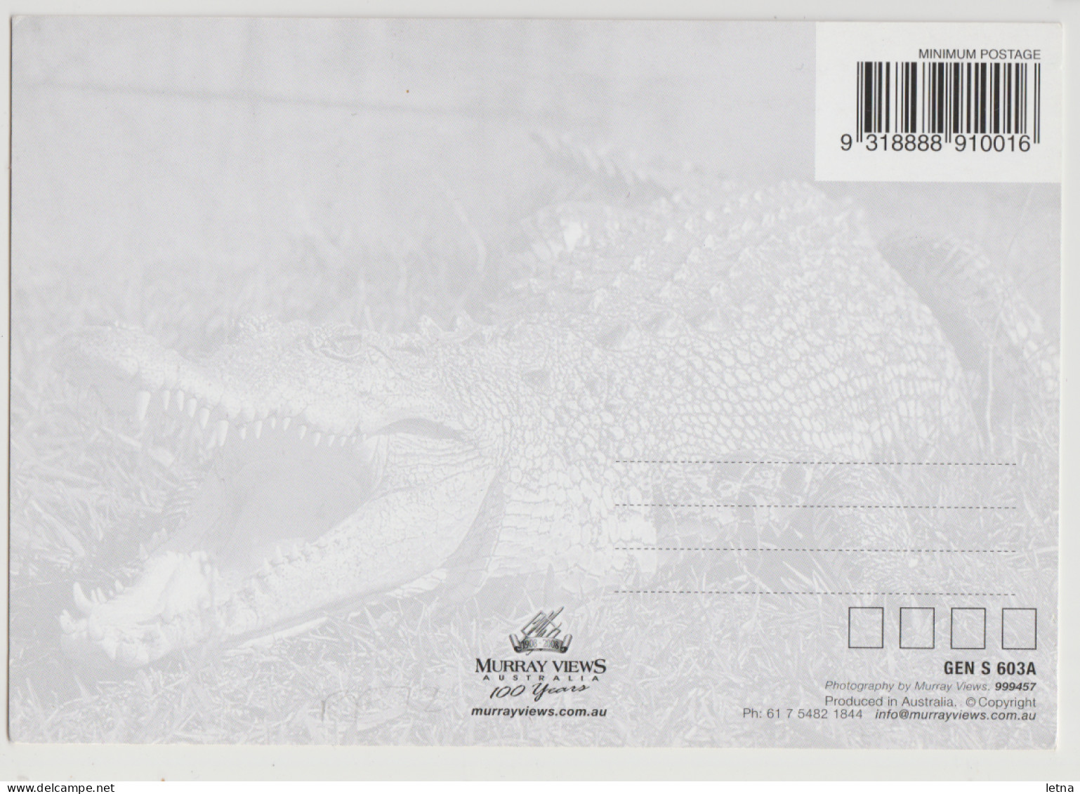 Australia QUEENSLAND QLD Tasty Tourists CROCODILE Murray Views GENS603A Comical Postcard C1990s - Sunshine Coast