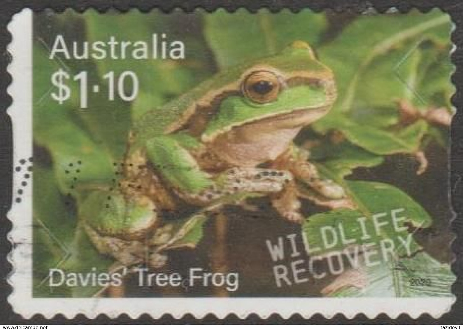 AUSTRALIA - DIE-CUT-USED 2020 $1.10 Wildlife Recovery - Davies' Tree Frog - Oblitérés