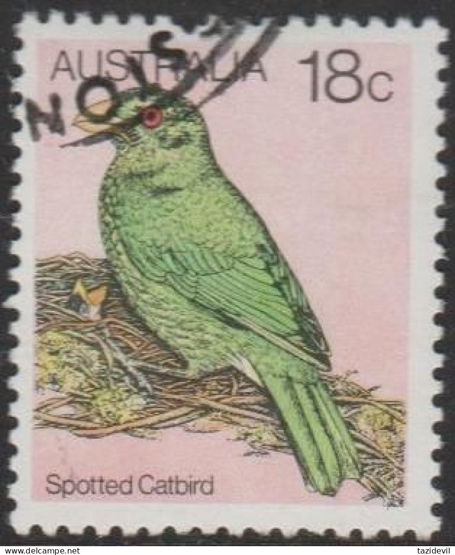 AUSTRALIA - USED - 1980 18c Australian Birds - Spotted Catbird - Oblitérés