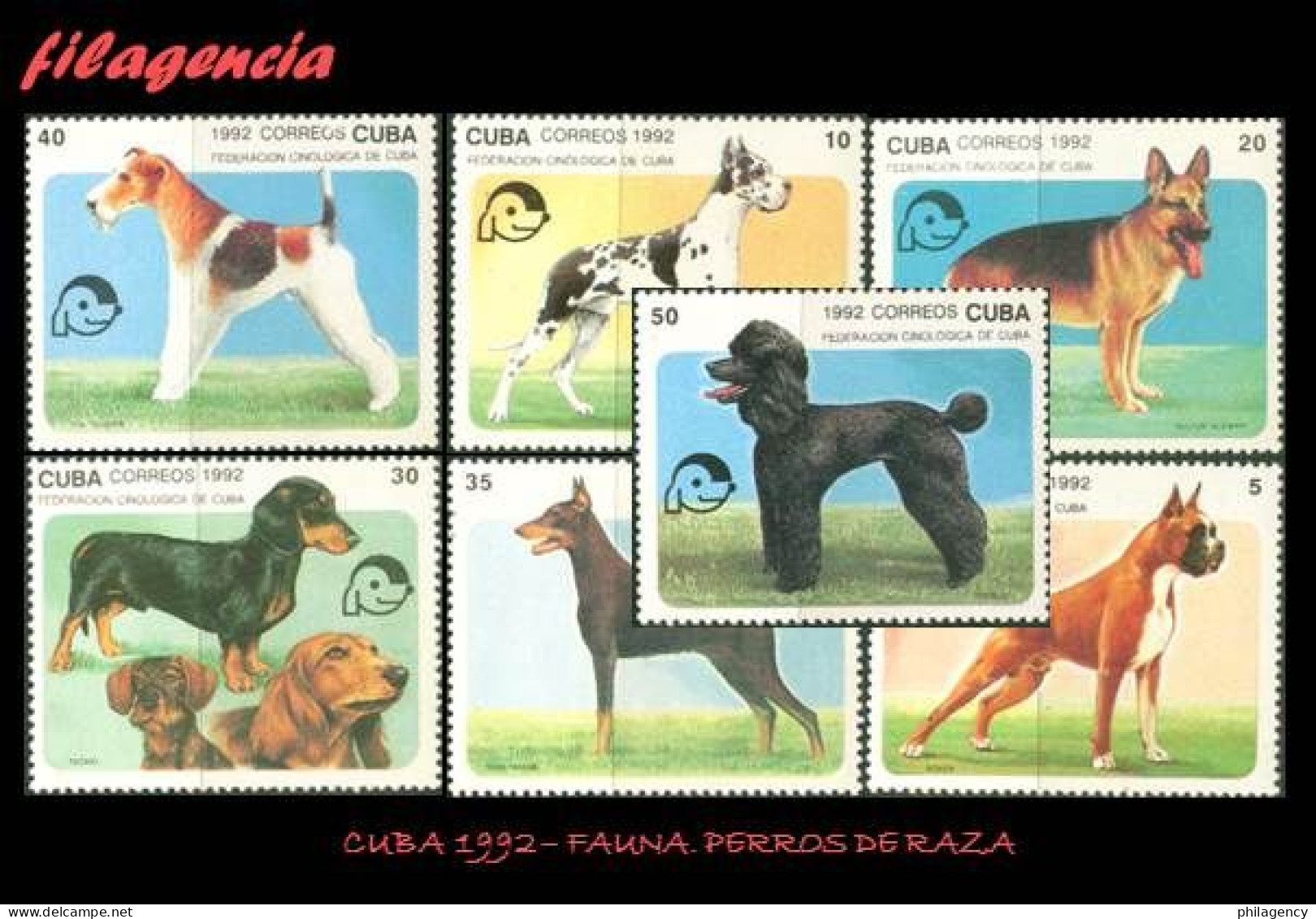 CUBA MINT. 1992-04 FAUNA. PERROS DE RAZA - Unused Stamps