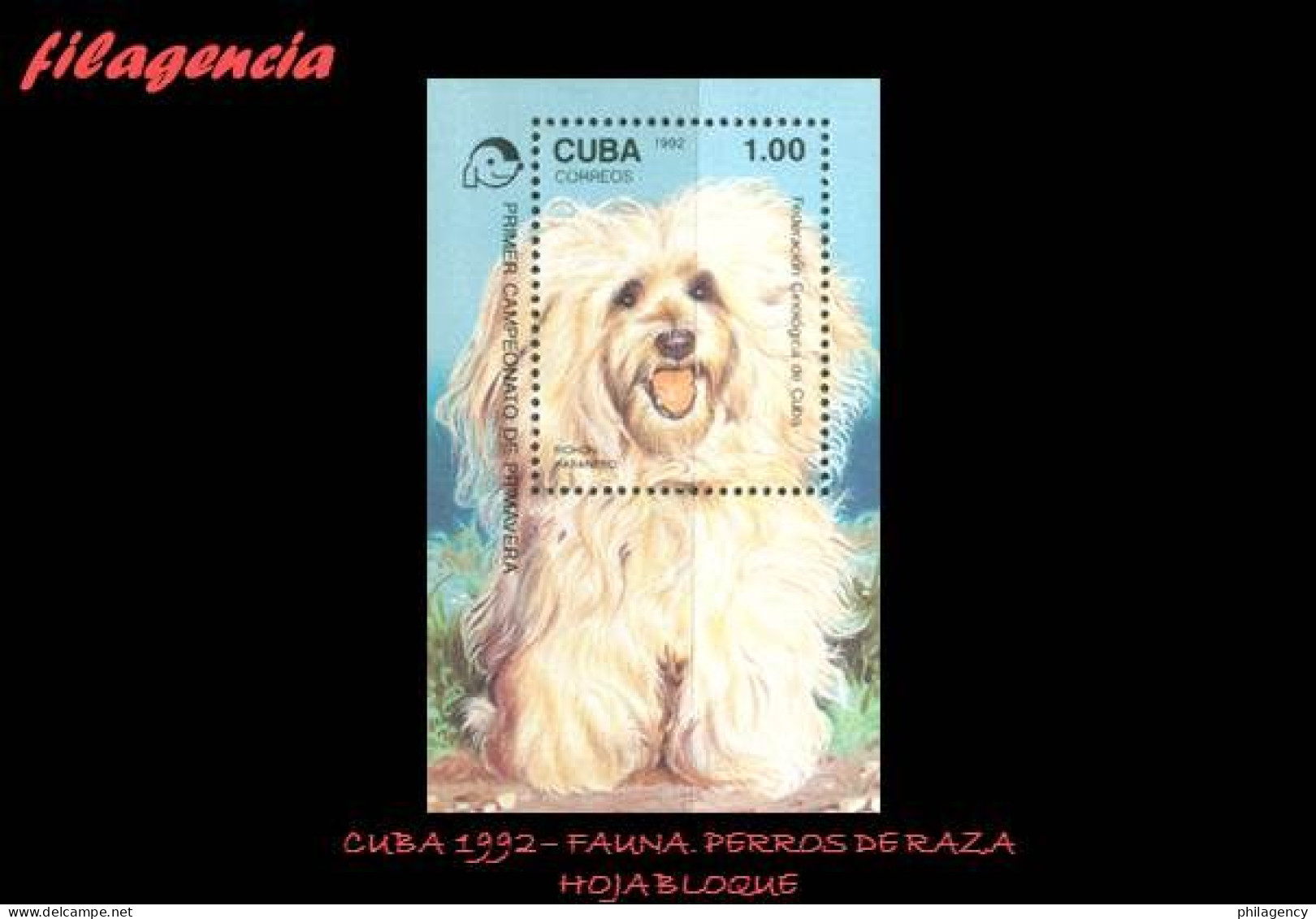 CUBA MINT. 1992-04 FAUNA. PERROS DE RAZA. HOJA BLOQUE - Unused Stamps
