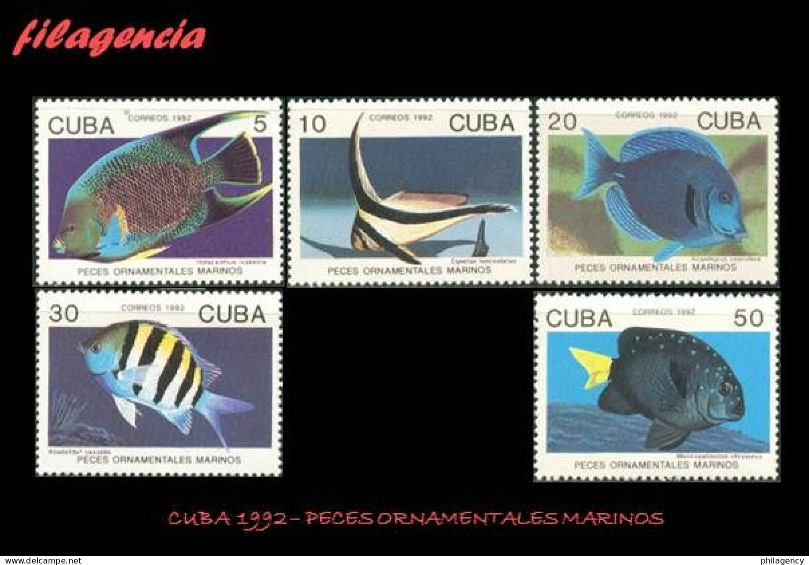CUBA MINT. 1992-10 FAUNA. PECES ORNAMENTALES MARINOS - Unused Stamps