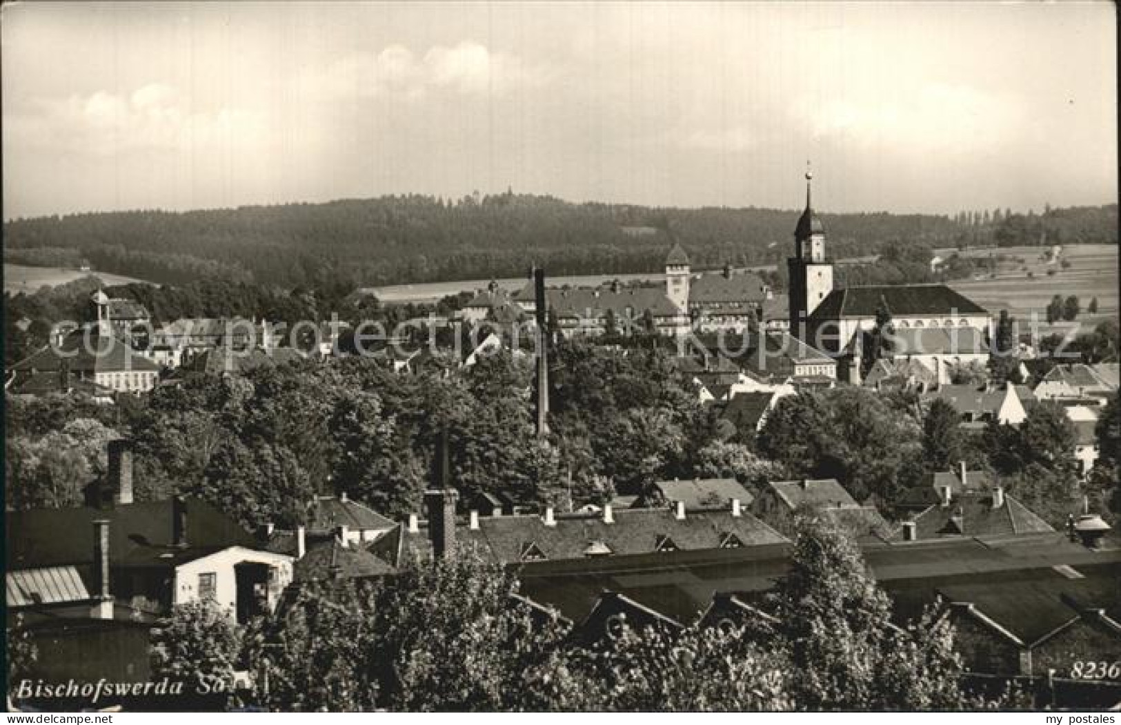 72474493 Bischofswerda Panorama Kirche Bischofswerda - Bischofswerda