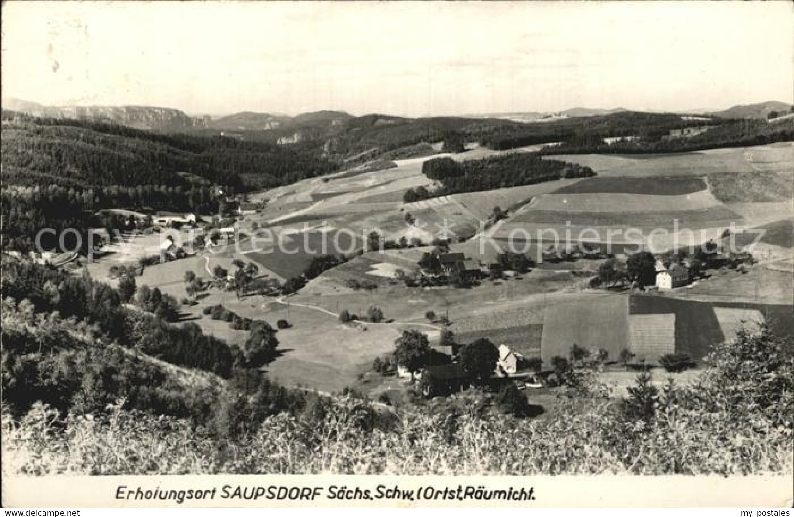 72473999 Raeumicht Panorama Erholungsort Raeumicht - Kirnitzschtal