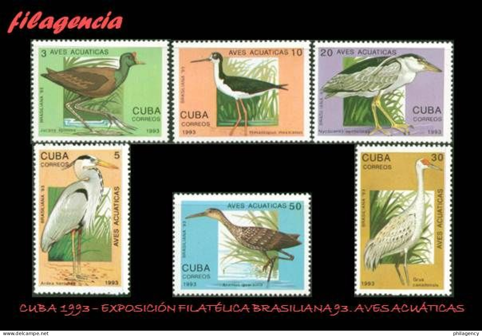 CUBA MINT. 1993-07 EXPOSICIÓN FILATÉLICA BRASILIANA 93. FAUNA. AVES ACUÁTICAS - Unused Stamps