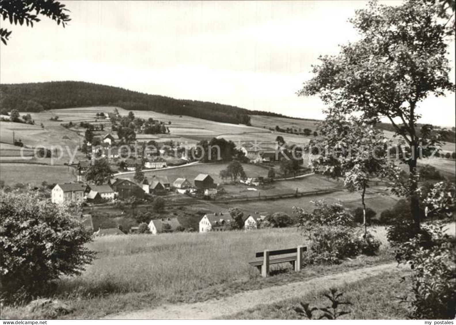 72472382 Rechenberg-Bienenmuehle Osterzgebirge  Rechenberg-Bienenmuehle - Rechenberg-Bienenmühle