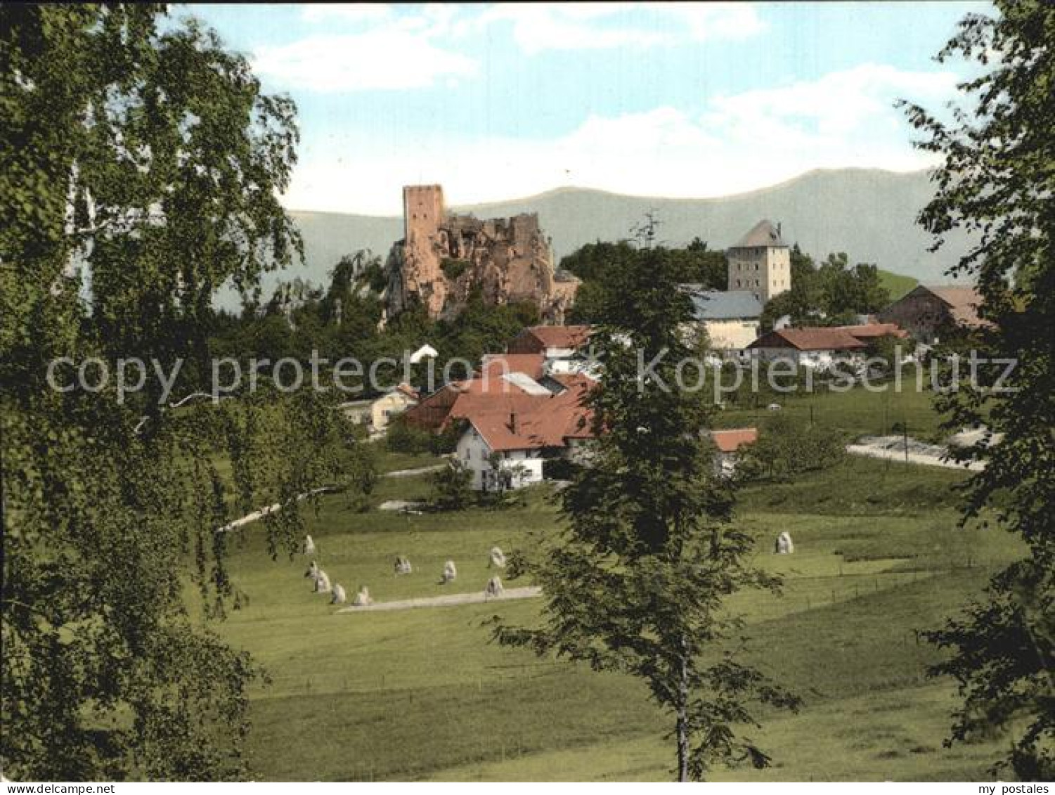 72470661 Weissenstein Regen Ortsansicht Mit Burgruine Burgberg Pfahl Weissenstei - Regen