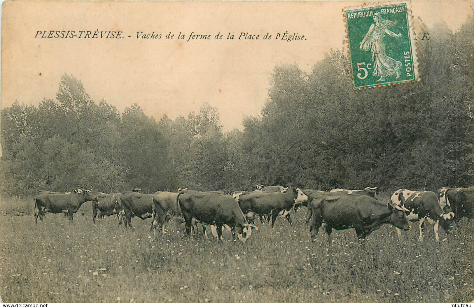 94* PLESSIS TREVISE Vaches De La Ferme De La Place De L Eglise  RL29,0383 - Le Plessis Trevise