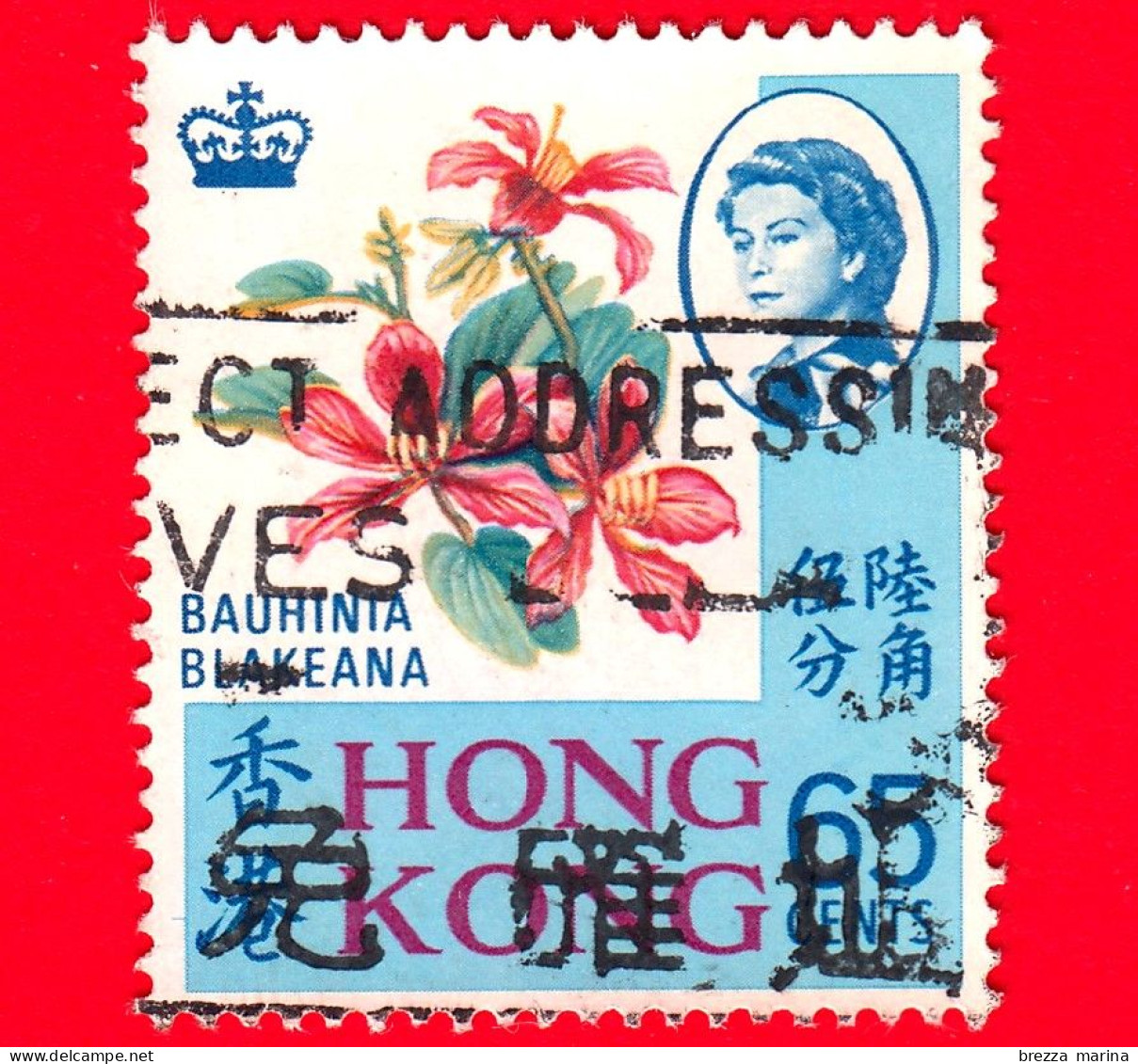 HONG KONG - Usato - 1973 - Fiori - Bauhinia Blakeana - 65 - Gebraucht