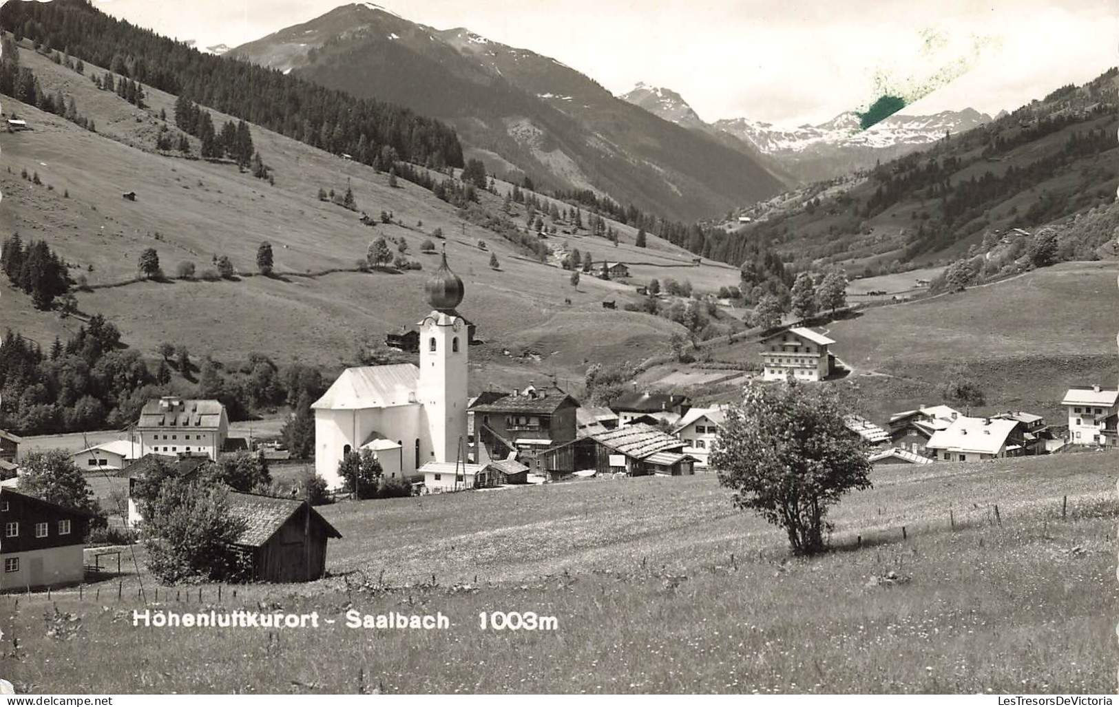 AUTRICHE - Hohenluttkurort - Saalbach  1003 M - Carte Postale Ancienne - Schruns