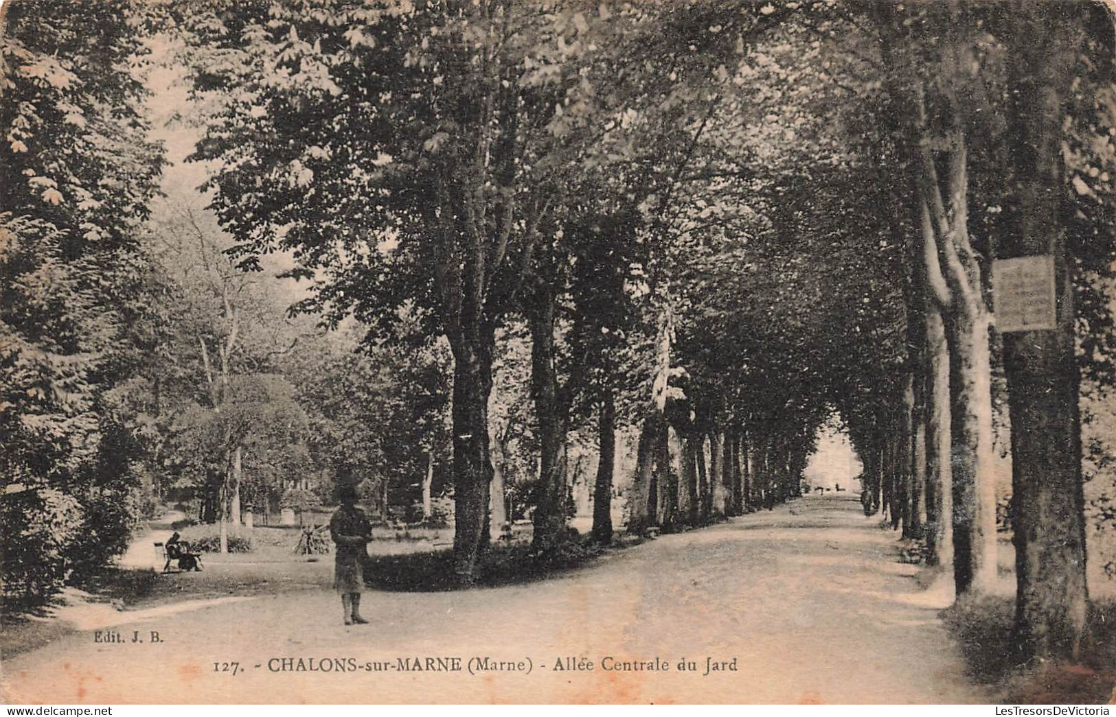 FRANCE - Châlons Sur Marne (Marne) - Vue De L'allées Centrale Du Jard - Carte Postale Ancienne - Châtillon-sur-Marne