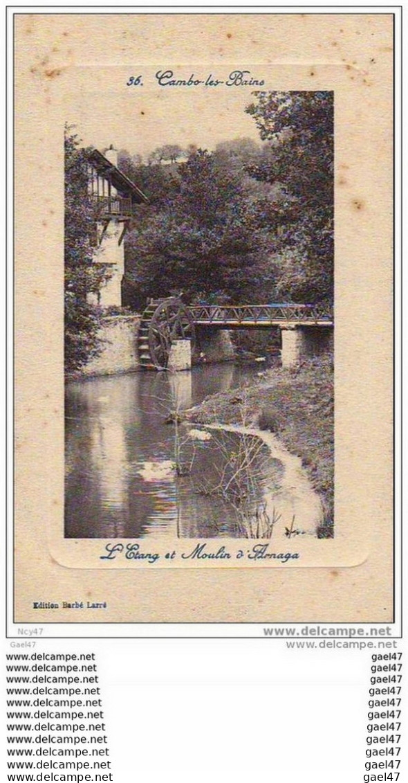 Cpa  (  Dep  64  )  à  CAMBO- Les- BAINS     "  L'Etang Et Le Moulin - Wassermühlen