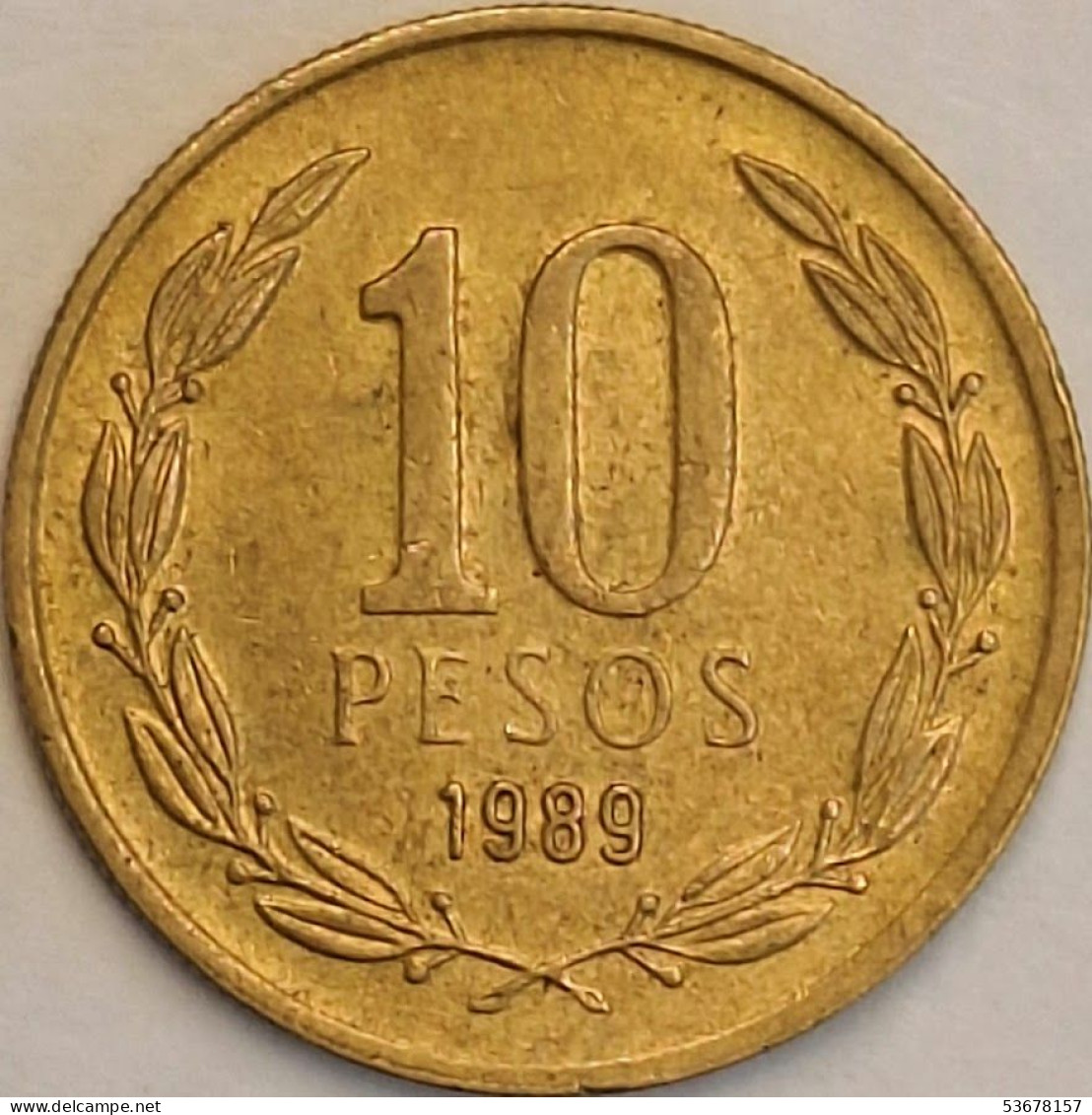 Chile - 10 Pesos 1989, KM# 218.2 (#3440) - Chile