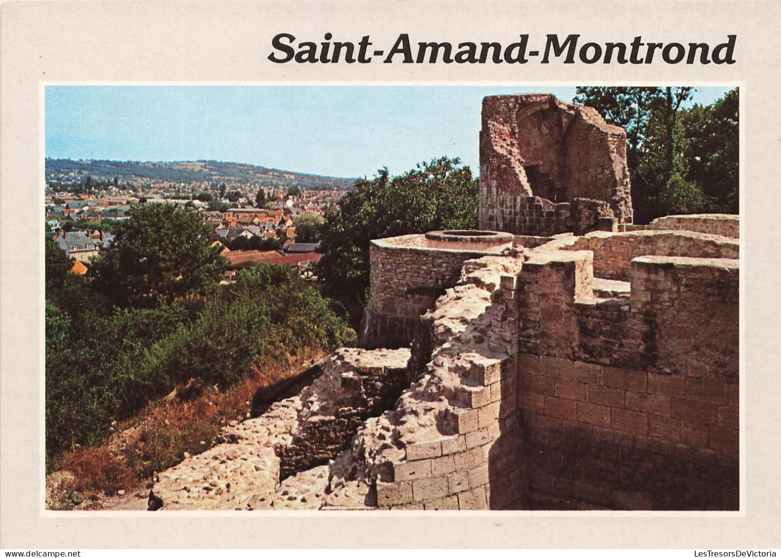 FRANCE - St Amand Montrond (cher) - Vue Générale Des Ruines De Montrond - Carte Postale - Saint-Amand-Montrond