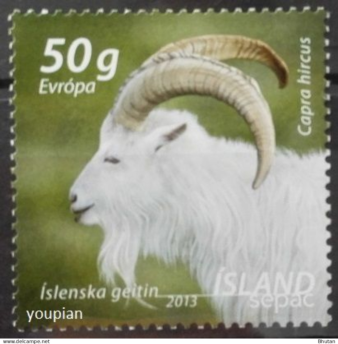 Iceland 2013, SEPAC - Wildlife Islandic Goat, MNH Single Stamp - Ongebruikt