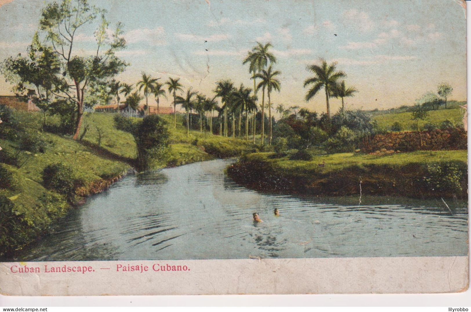 CUBA -  Cuban Landscape. Paisaje Cubano.   VG Habana Postmark 1907 To Wandsworth UK - Undivided Rear - Cuba