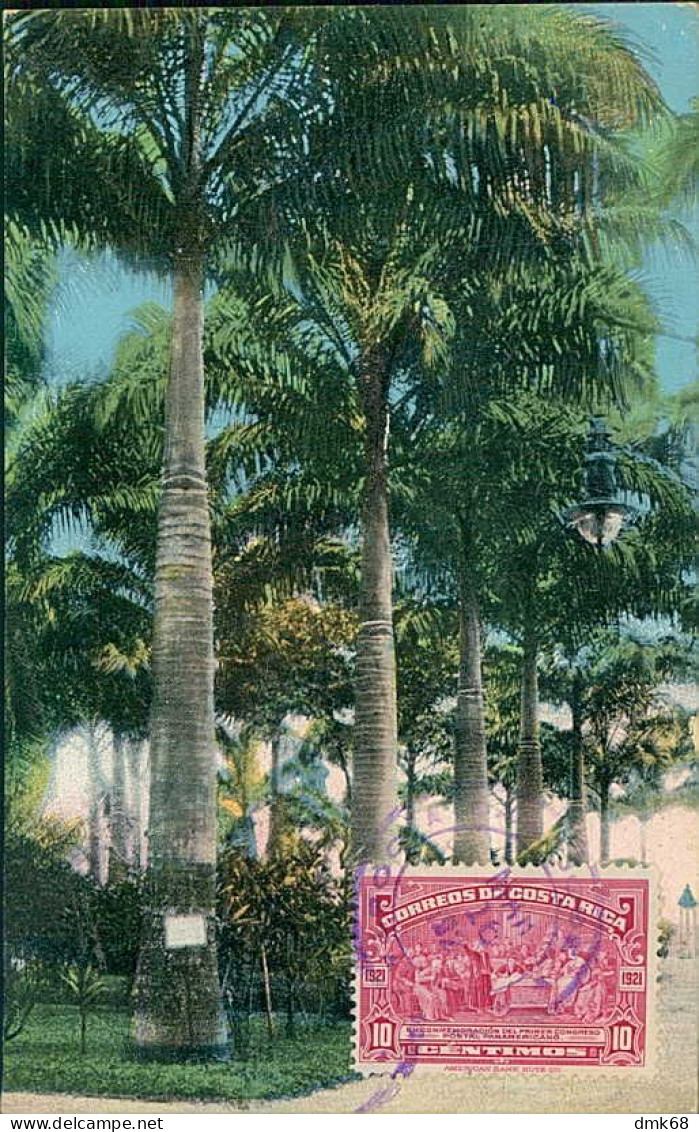 COSTA RICA - ROYAL PALMS IN VARGAS PARK - LIMON - CPYRIGHT H. WIMMER - MAILED TO ITALY 1927 / STAMP (17950) - Costa Rica