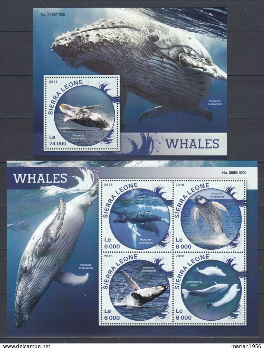 Sierra Leone 2016 - BALEINES - WHALES - BL + BF - MNH - Whales