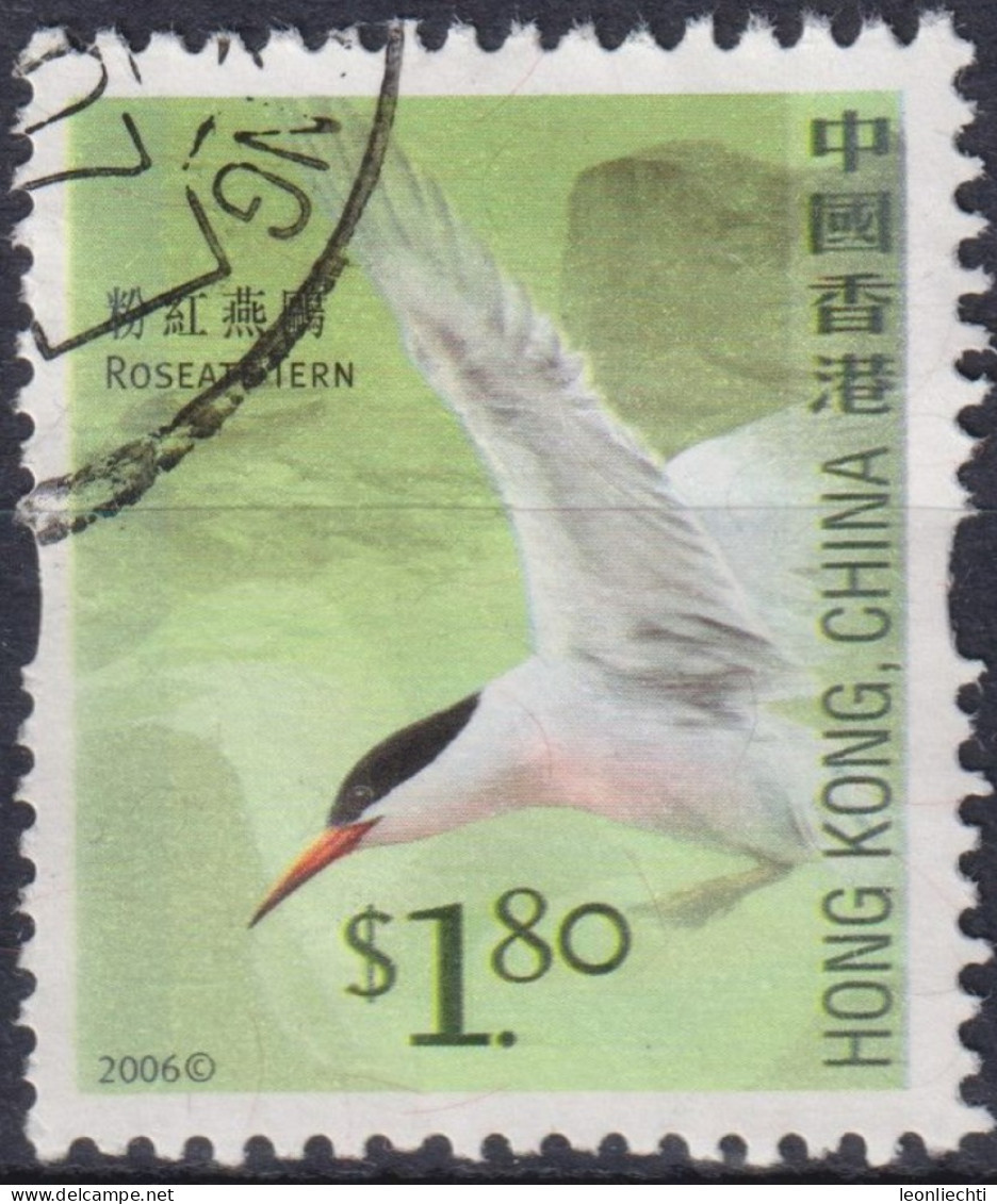 2006 Hong Kong (1997- ° Mi:HK 1392A, Sn:HK 1234, Yt:HK 1306, Roseate Tern (Sterna Dougallii),Vogel - Usati