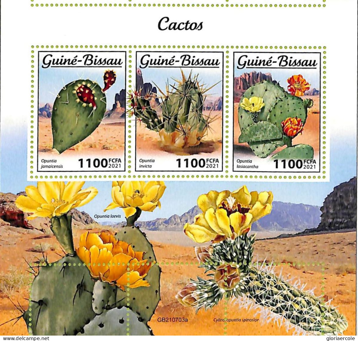 A7606 - GUINE BISSAU - ERROR MISPERF Stamp Sheet - 2021 - Cactusses - Sukkulenten