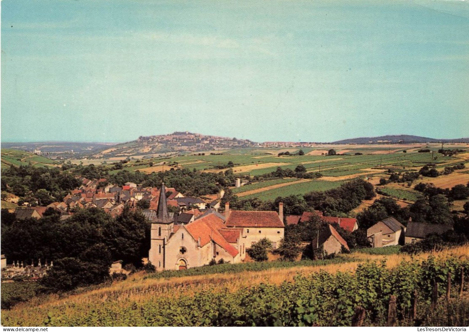 FRANCE - Chavignol (cher) - Vue Générale - Les Vignes Et La Butte De Sancerre  - Carte Postale - Sancerre