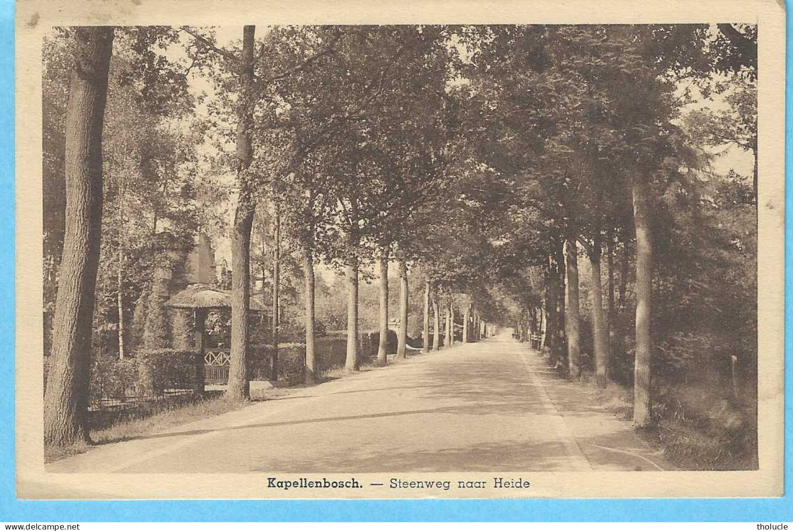 Kapellenbosch (Kapellen-Pr. Antwerpen)-1942-Steenweg Naar Heide-Cachet "Kalmthout-1942"-Uitg.J.Brosius, Heide - Kapellen