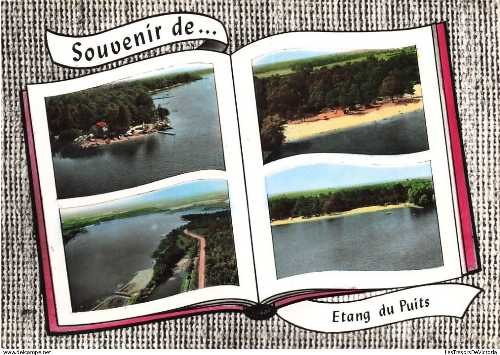 FRANCE - Etang Du Puits (cher) - Souvenir De L'étant Du Puits - Multivues De Différents Endroits  - Carte Postale - Argent-sur-Sauldre