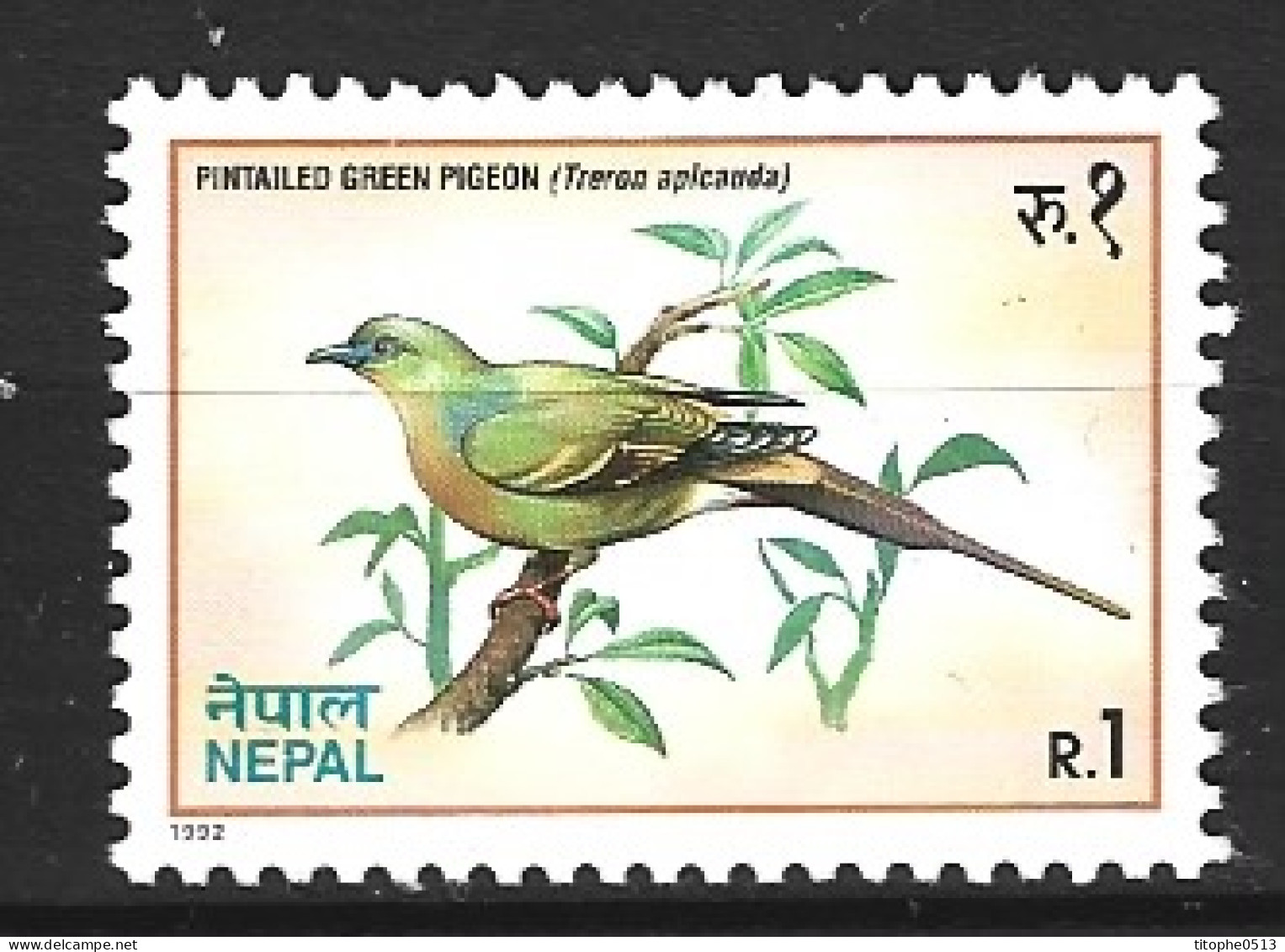 NEPAL. N°501 De 1992. Colombar à Longue Queue. - Pigeons & Columbiformes
