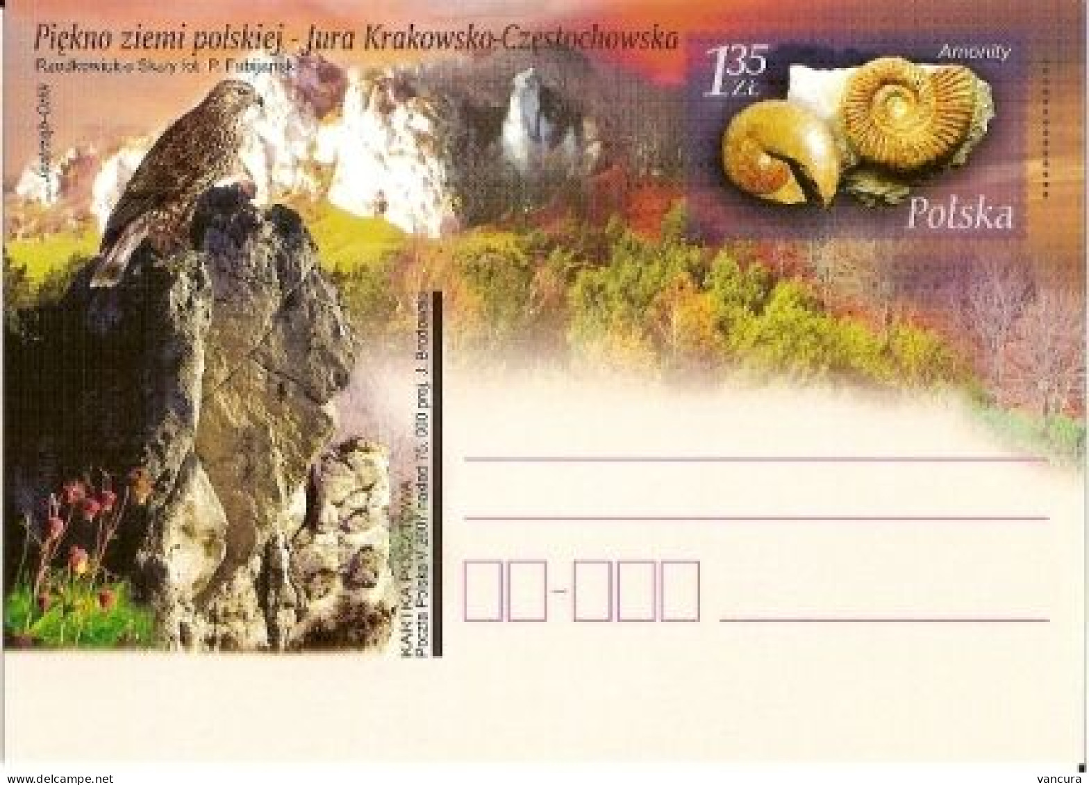 Cp 1431 Poland Jura Krakowsko-Czestochowska Ammonoids Hawk 2007 - Fossils