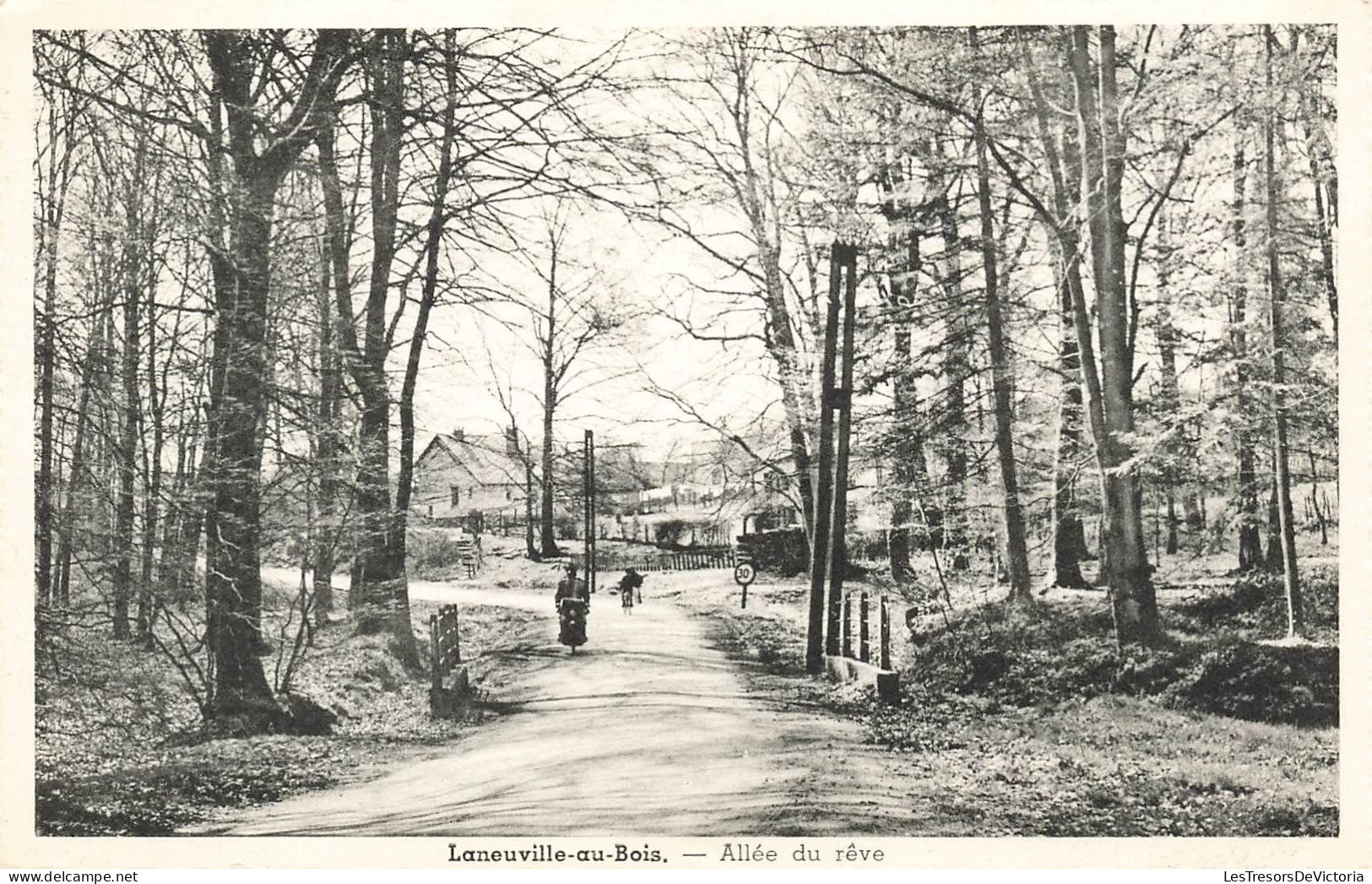 FRANCE - Laneuville Au Bois - Vue Générale De L'allée Du Rêve - Carte Postale Ancienne - Luneville