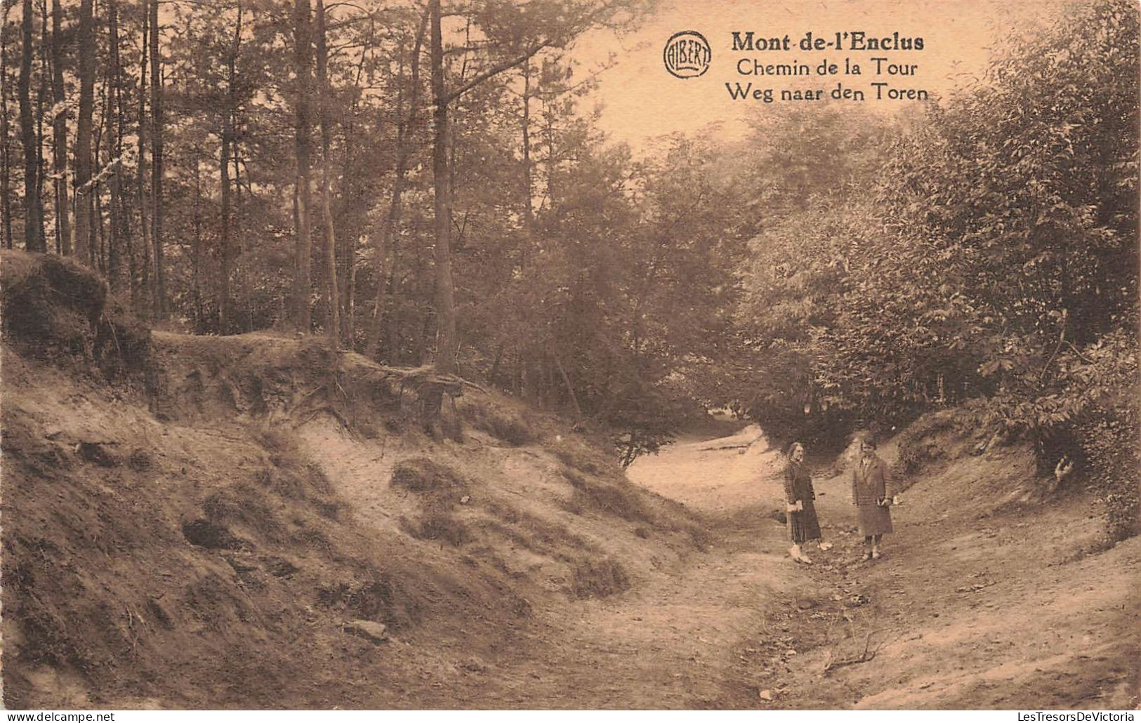 BELGIQUE - Mont De L'Enclus - Chemin De La Tour - Weg Naar Den Toren - Carte Postale Ancienne - Kluisbergen