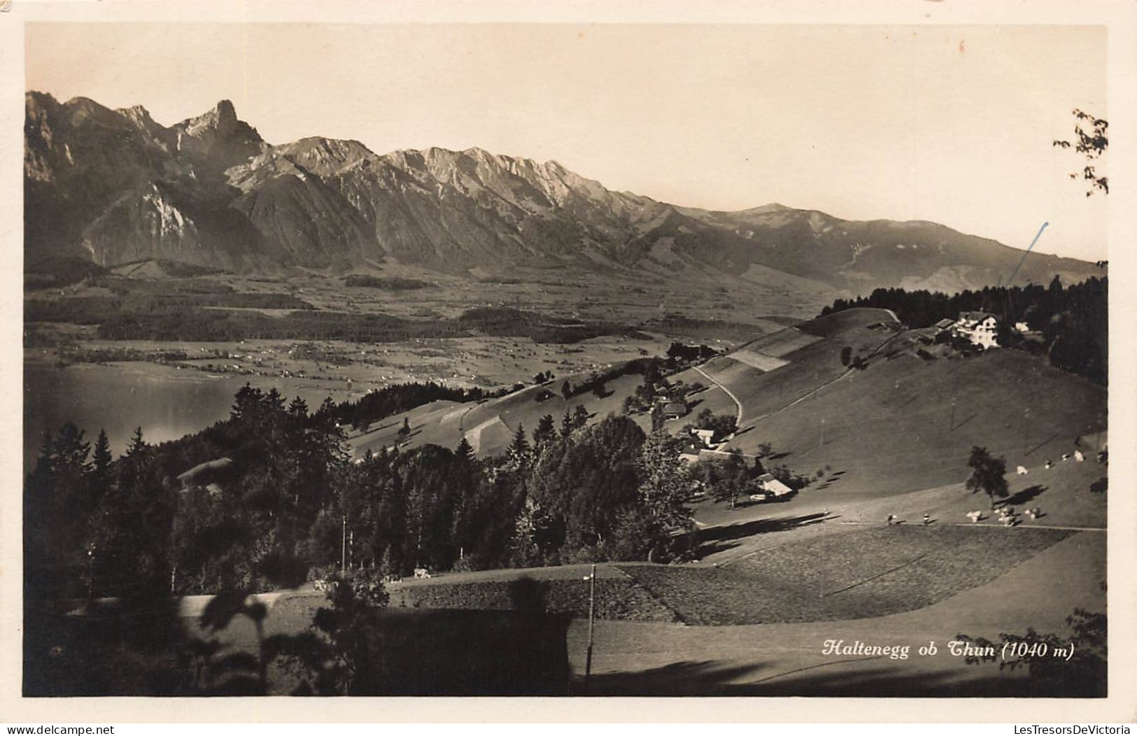 SUISSE - Kaltenegg Ob Thun (1040m) - Montagnes - Carte Postale Ancienne - Wald