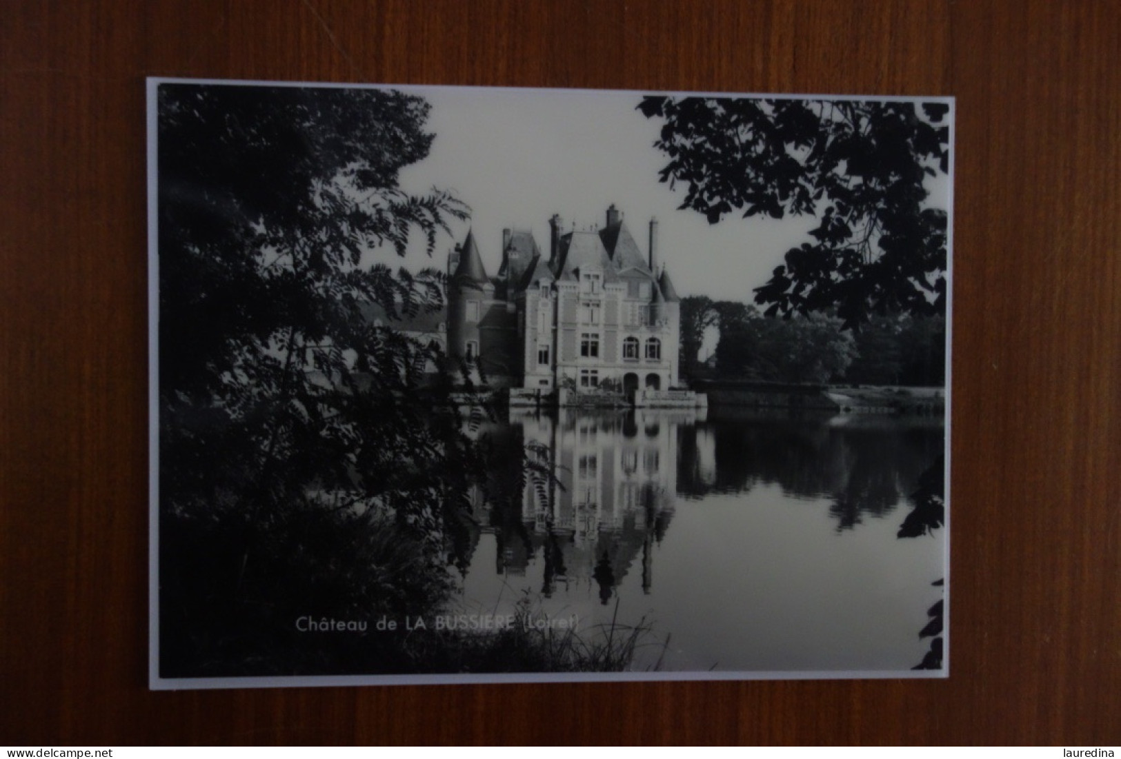 PHOTO VINTAGE DECOR WAGONS SNCF ANNEE 1960 - CHATEAU DE LA BUSSIERE (LOIRET) - Chemin De Fer