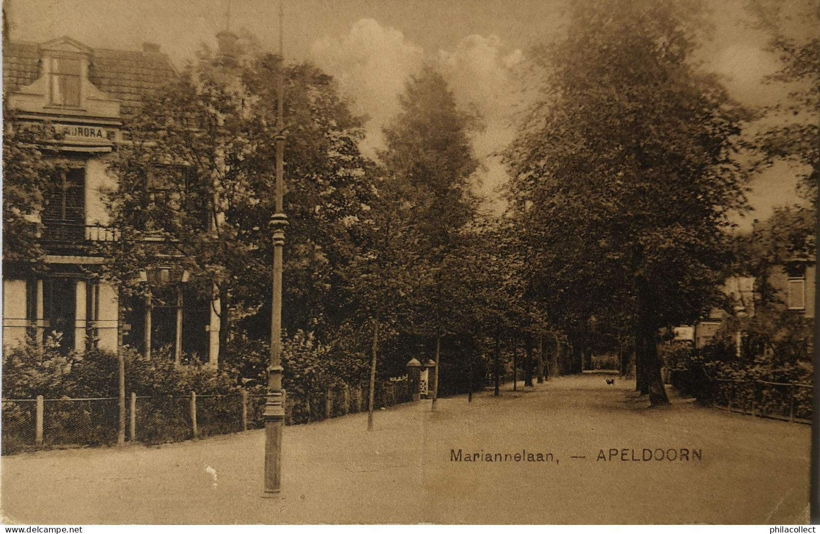 Apeldoorn // Mariannelaan 1928 Nauta A794 - Apeldoorn