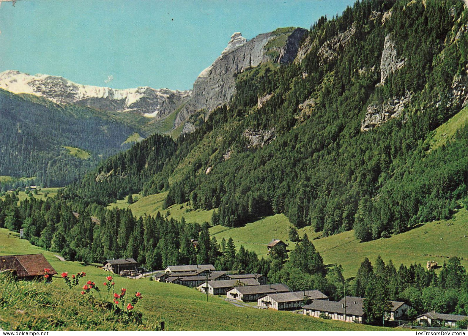 SUISSE - Mechtal - Cures D'Air Des Mutualités Chrétiennes - Téléphérique - Carte Postale - Other & Unclassified