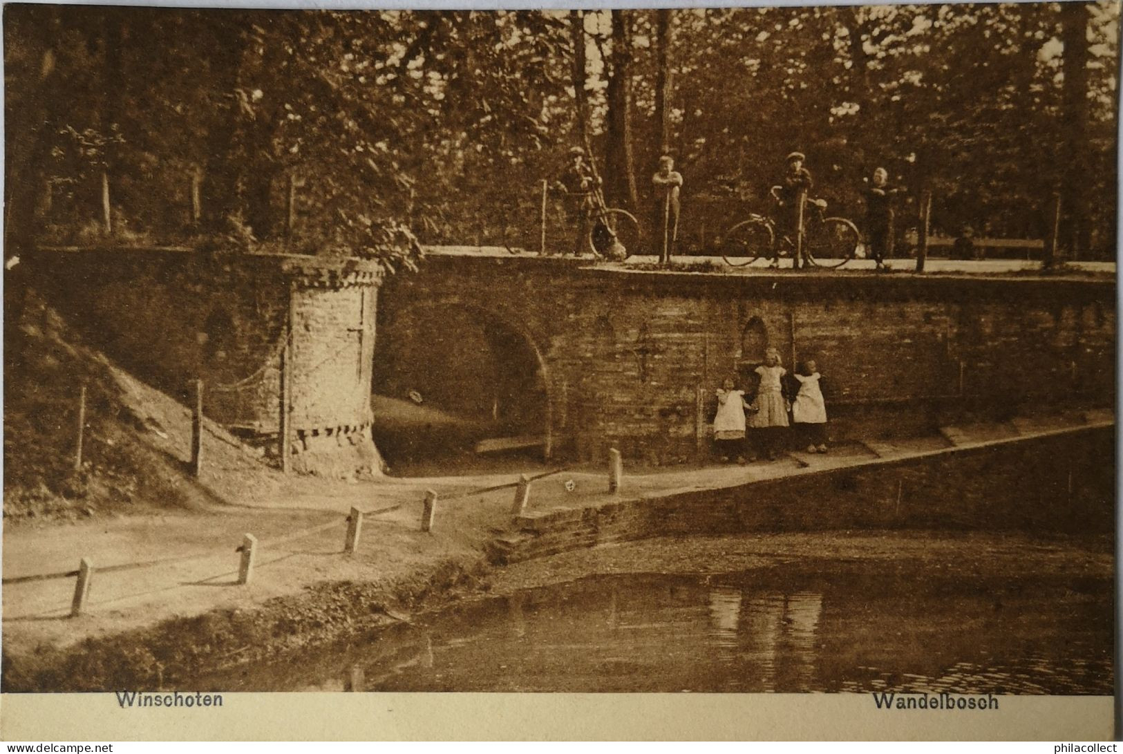 Winschoten // Wandelbos H (met Kinderen) 1920 - Winschoten