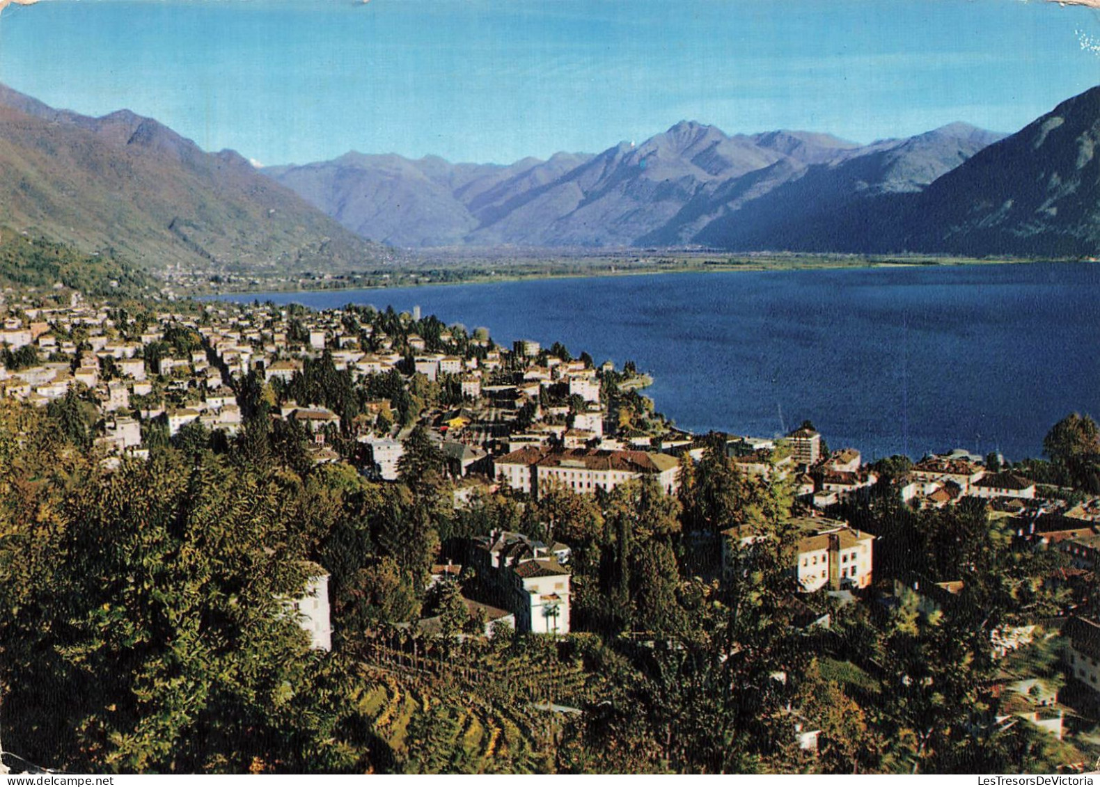 SUISSE - Locarno - Muralto - Vue - Carte Postale - Muralto