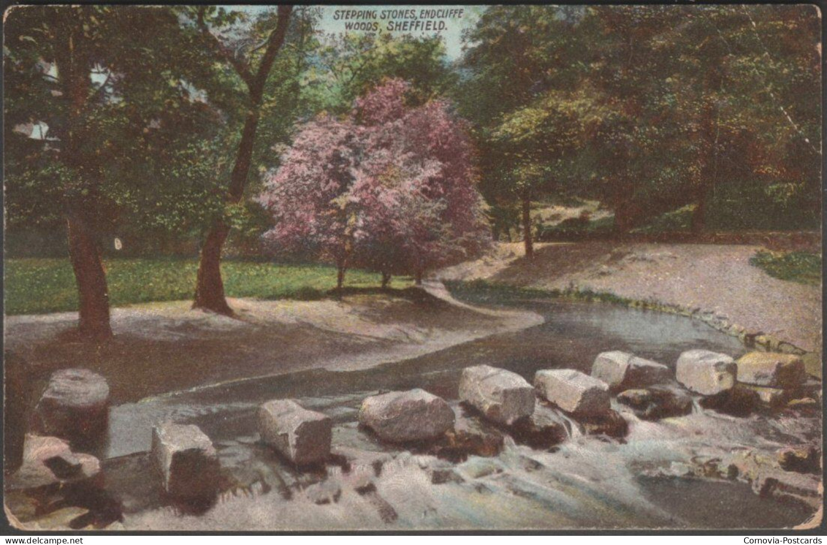 Stepping Stones, Endcliffe Woods, Sheffield, Yorkshire, C.1905 - Postcard - Sheffield