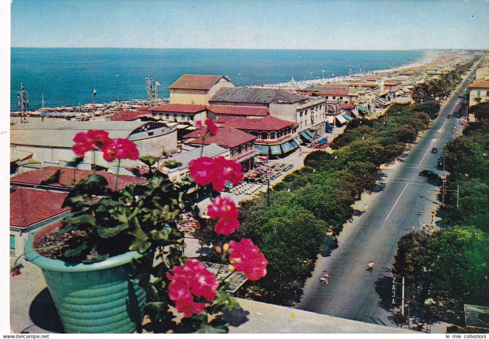 Cartolina Viareggio - Viali E Lungomare - Viareggio